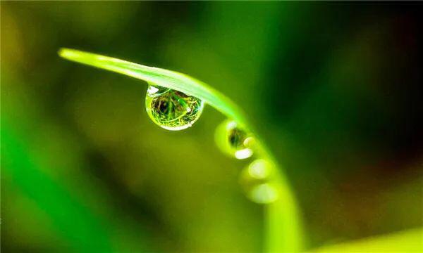 人生想開看開，心安知足便好