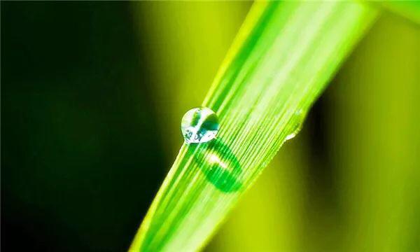 人生想開看開，心安知足便好