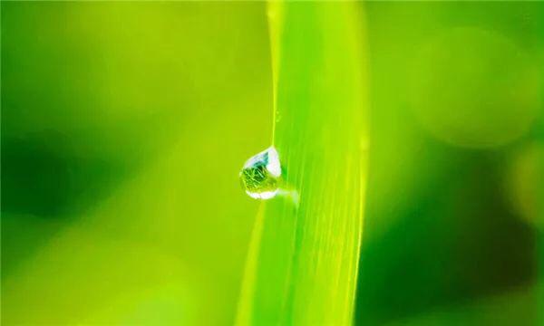 人生想開看開，心安知足便好