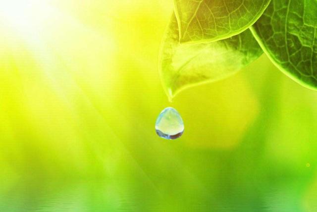 人生想開看開，心安知足便好