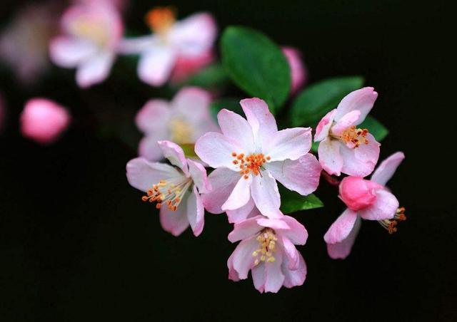 一個人，經歷的故事越多，脾氣就會越好