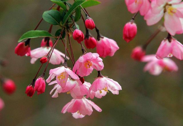 一個人，經歷的故事越多，脾氣就會越好