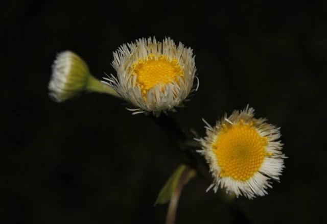一個人，經歷的故事越多，脾氣就會越好