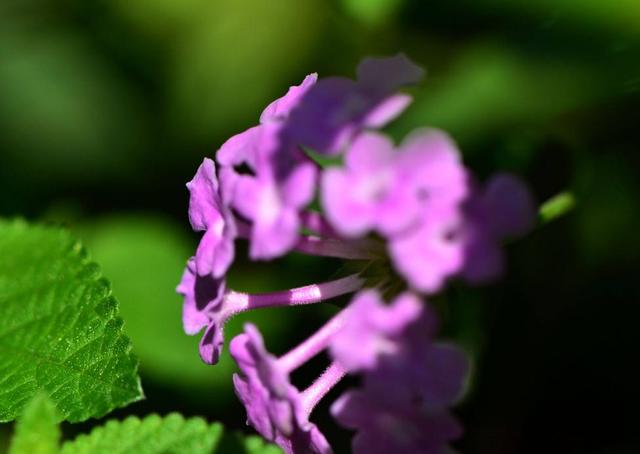 一個人，經歷的故事越多，脾氣就會越好