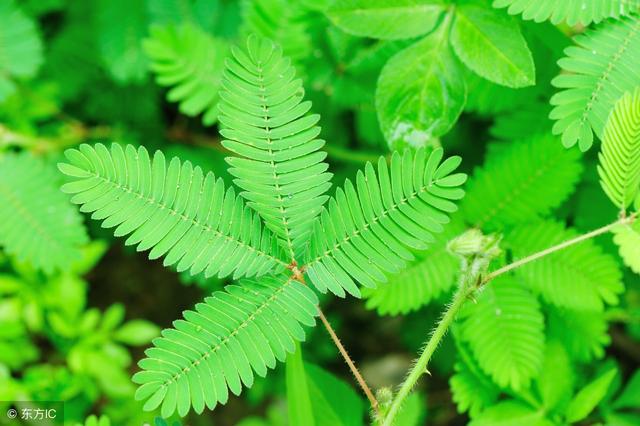 煩惱不過夜，健忘才幸福！