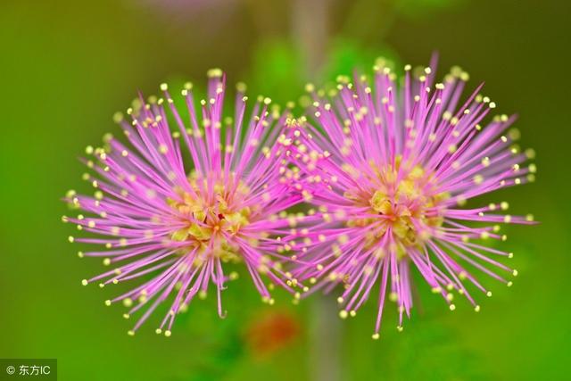 煩惱不過夜，健忘才幸福！