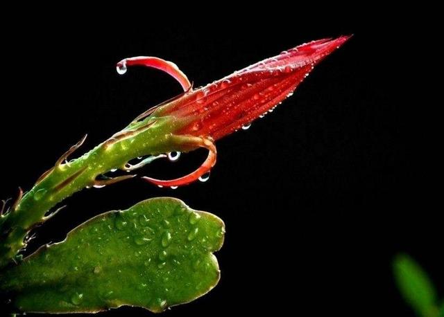 受過的傷多了，就百毒不侵了