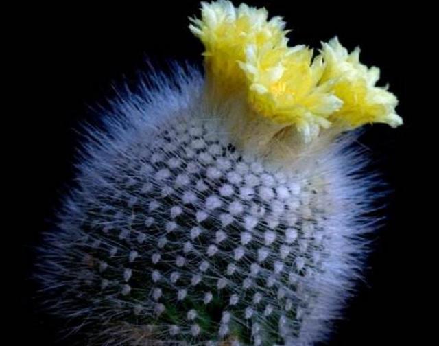 受過的傷多了，就百毒不侵了