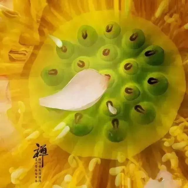 今日農曆四月十九，誦《妙法蓮花觀音菩薩》殊勝吉祥！ 如意安康！