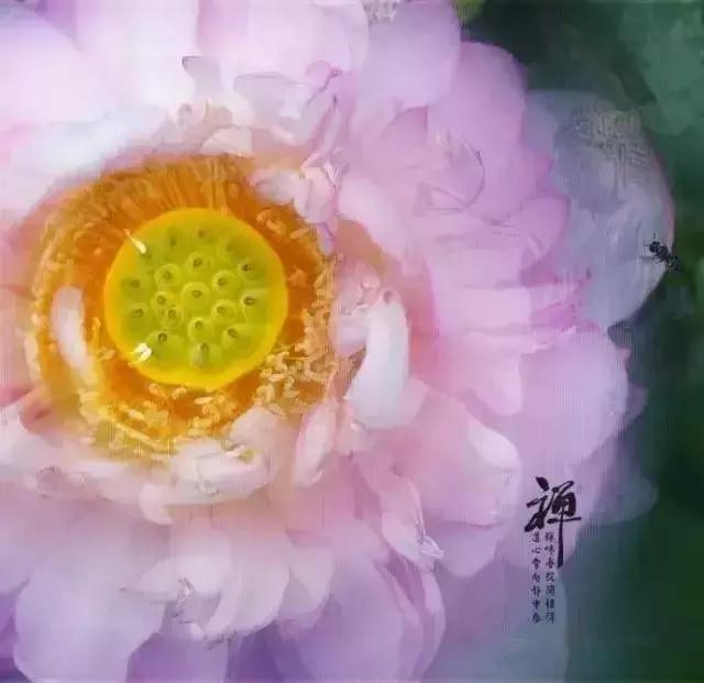 今日農曆四月十九，誦《妙法蓮花觀音菩薩》殊勝吉祥！ 如意安康！