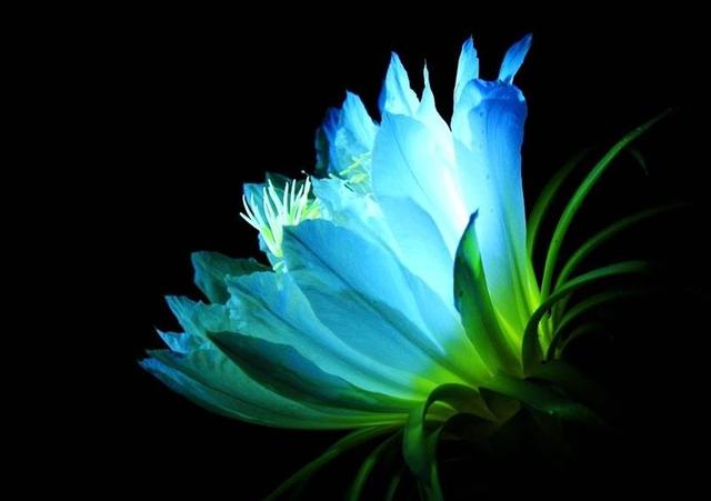 少不更事盼長大，中年方知人生苦