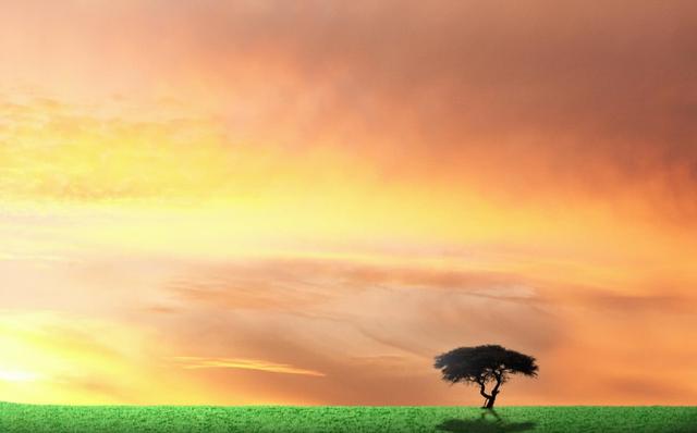 高層次的人，寧願沒朋友，也不交這四種人