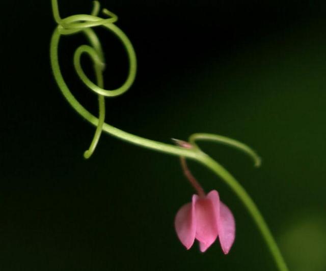 活出自己歡喜的樣子,即使粗茶淡飯