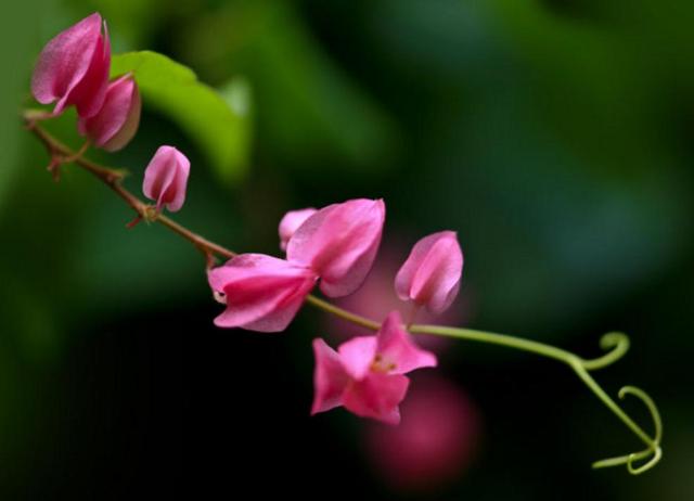 活出自己歡喜的樣子，即使粗茶淡飯
