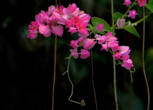 活出自己歡喜的樣子，即使粗茶淡飯