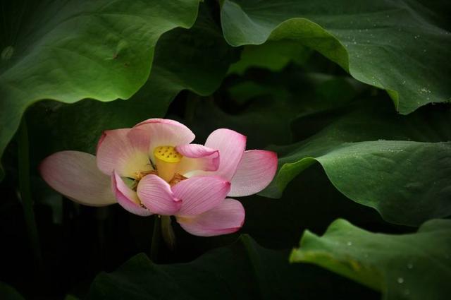 無事心別空,有事心別亂!