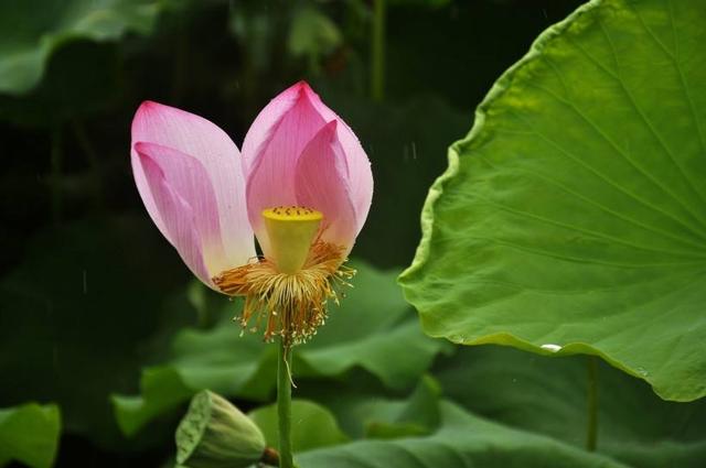 無事心別空,有事心別亂!