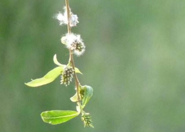 做人，要想知道自己的分量，多坐幾次最後一排就知道了