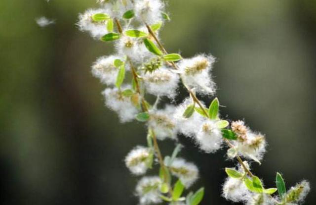 做人，要想知道自己的分量，多坐幾次最後一排就知道了