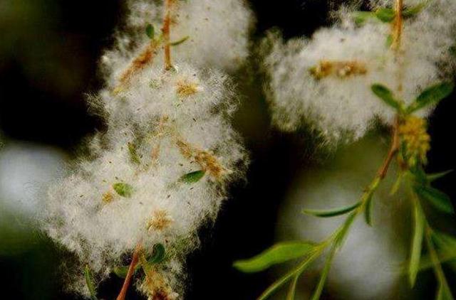 做人，要想知道自己的分量，多坐幾次最後一排就知道了