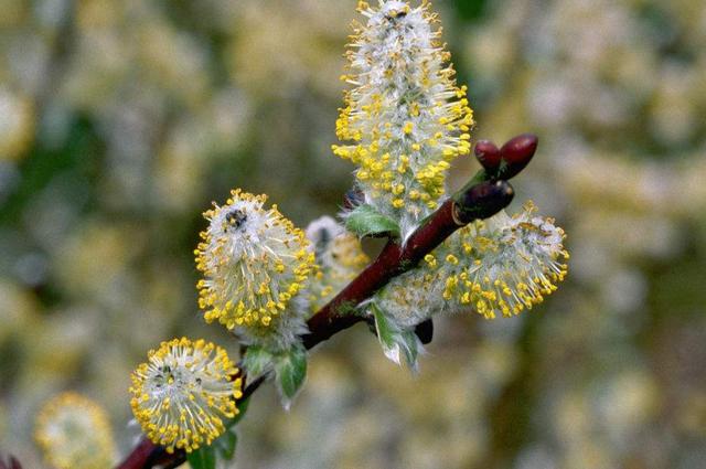 做人，要想知道自己的分量，多坐幾次最後一排就知道了