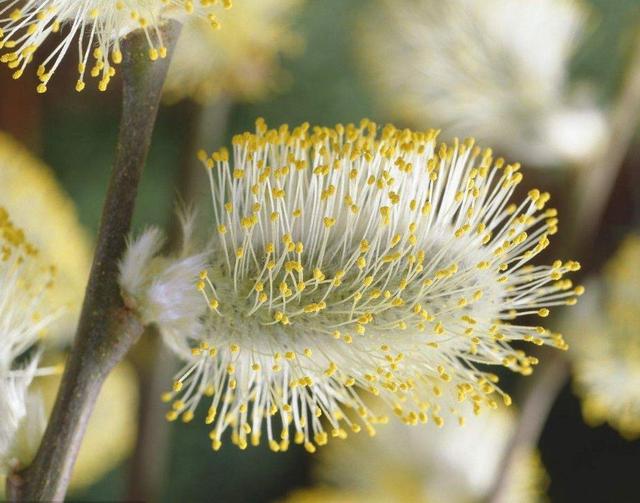 做人，要想知道自己的分量，多坐幾次最後一排就知道了