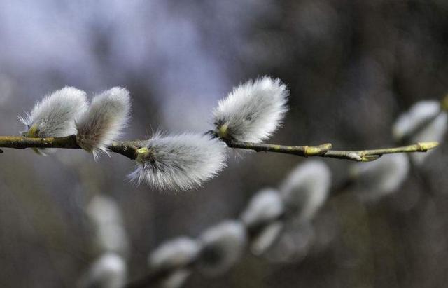 做人，要想知道自己的分量，多坐幾次最後一排就知道了