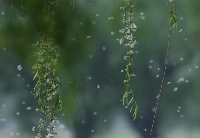 做人，要想知道自己的分量，多坐幾次最後一排就知道了