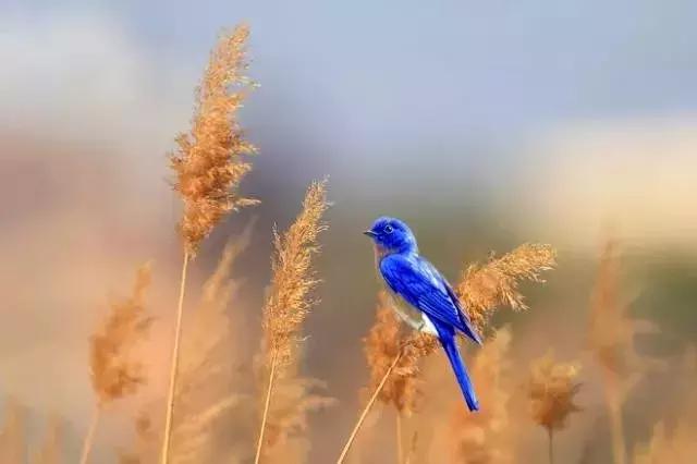 原來，我們真的陌生了