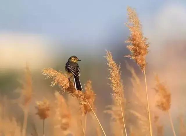 原來，我們真的陌生了