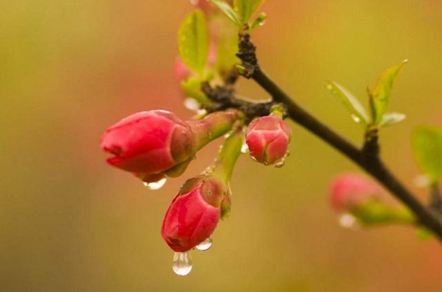 如果人生太難，請學會在暗夜裡哭泣