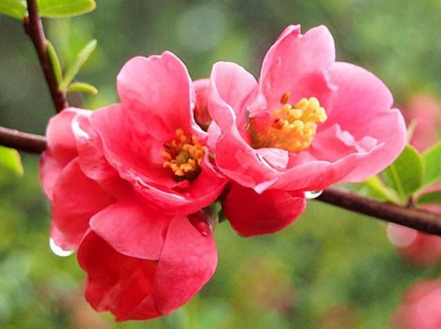 如果人生太難，請學會在暗夜裡哭泣