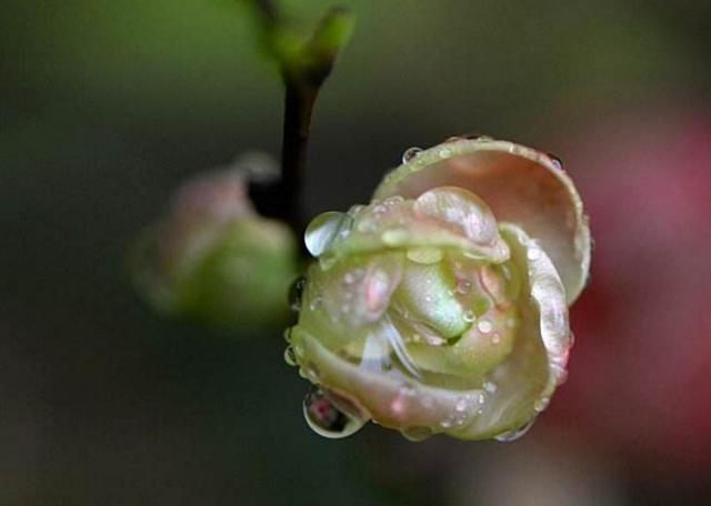 如果人生太難，請學會在暗夜裡哭泣