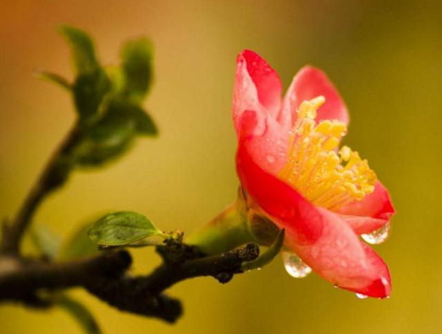 如果人生太難，請學會在暗夜裡哭泣