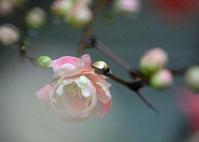 如果人生太難，請學會在暗夜裡哭泣