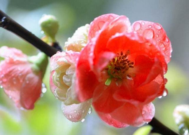 如果人生太難，請學會在暗夜裡哭泣