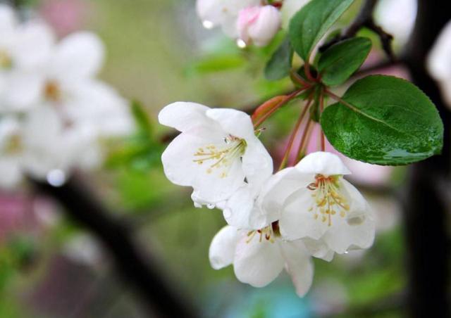 如果人生太難，請學會在暗夜裡哭泣