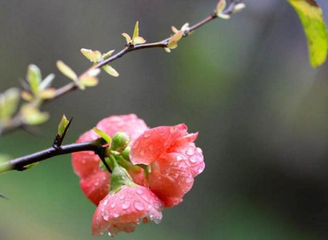 如果人生太難，請學會在暗夜裡哭泣