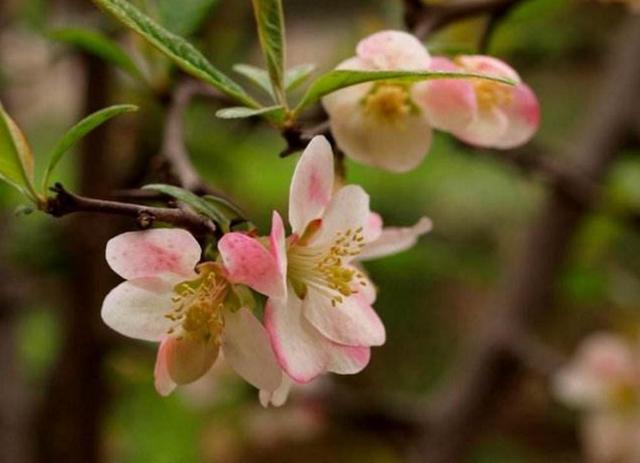 如果人生太難，請學會在暗夜裡哭泣