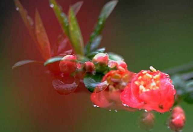 如果人生太難，請學會在暗夜裡哭泣