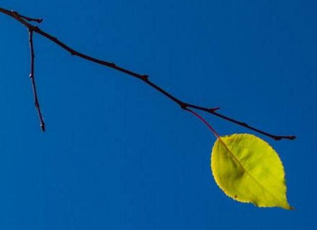 餘生，只想一個人慢慢到老