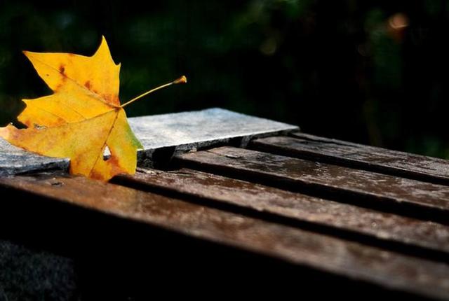 餘生，只想一個人慢慢到老