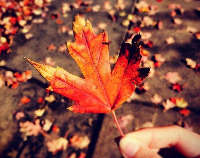 餘生，只想一個人慢慢到老