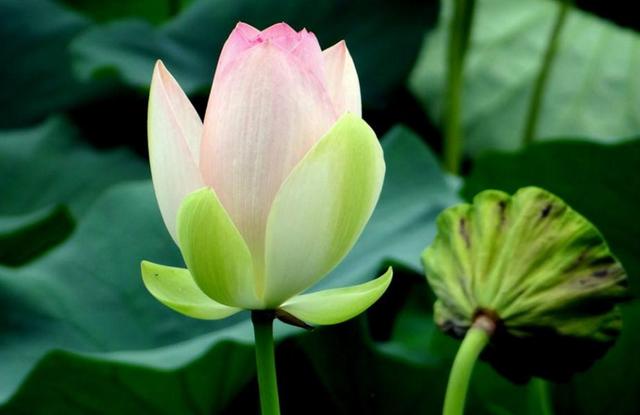 相由心生，做人要懂得以貌取人