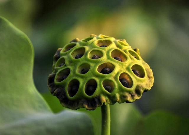 相由心生，做人要懂得以貌取人