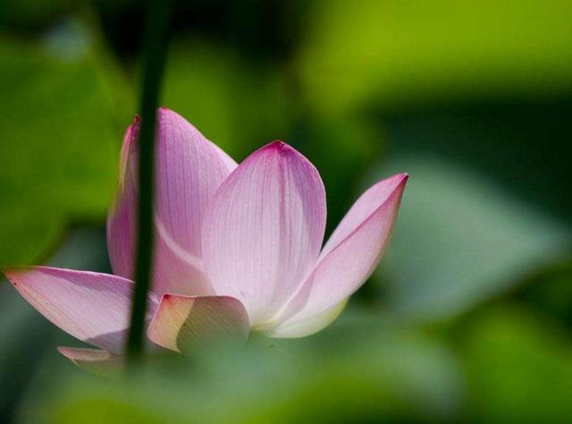 相由心生，做人要懂得以貌取人