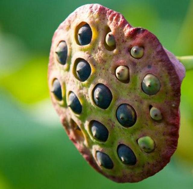 相由心生，做人要懂得以貌取人