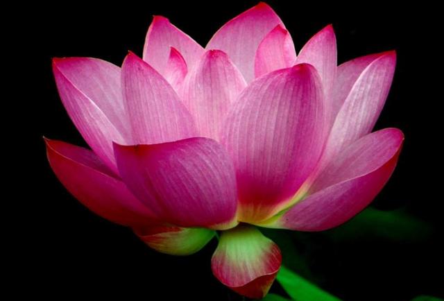 相由心生，做人要懂得以貌取人