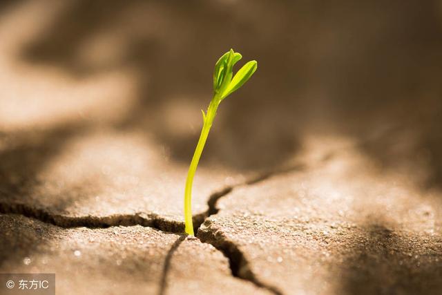 順境善待他人，逆境善待自己！