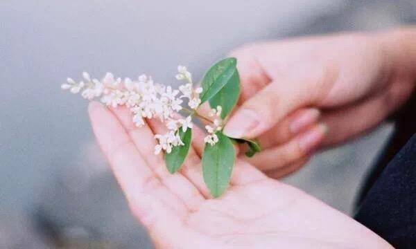 愛情是船，婚姻是漿